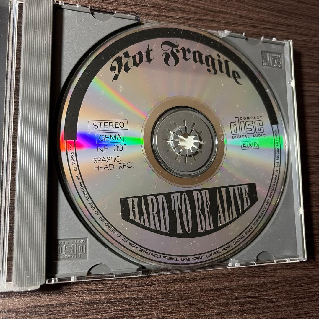 洋楽 Not fragile/ hard to be alive