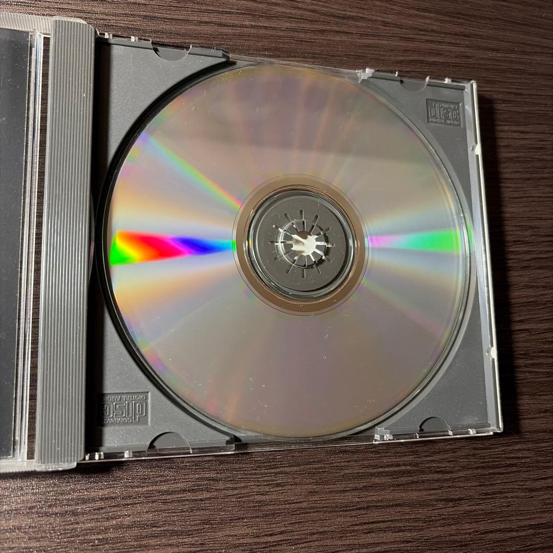 洋楽 Not fragile/ hard to be alive