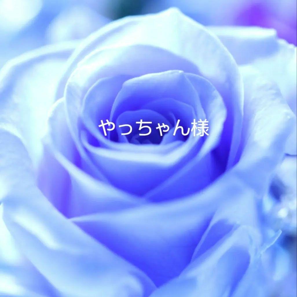 ♡ローズクォーツ、クィーンコンクシェル、ピンクトルマリンのマクラメネックレス