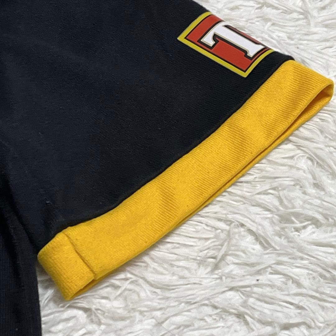 【ヴィンテージ】カンタベリーオブニュージーランド XL ライオンズ 刺繍 レア