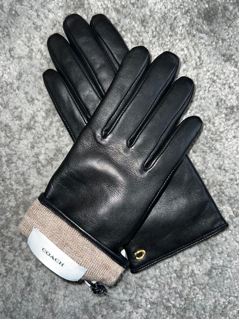 スカルプテッド シグネチャー レザー テック グローブ