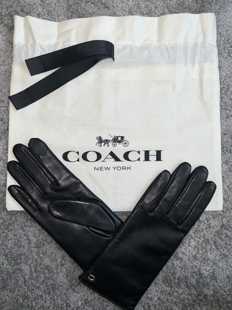 スカルプテッド シグネチャー レザー テック グローブ