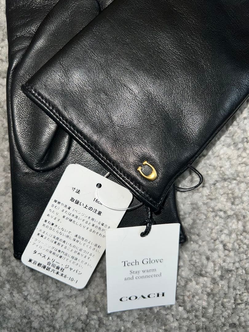 スカルプテッド シグネチャー レザー テック グローブ