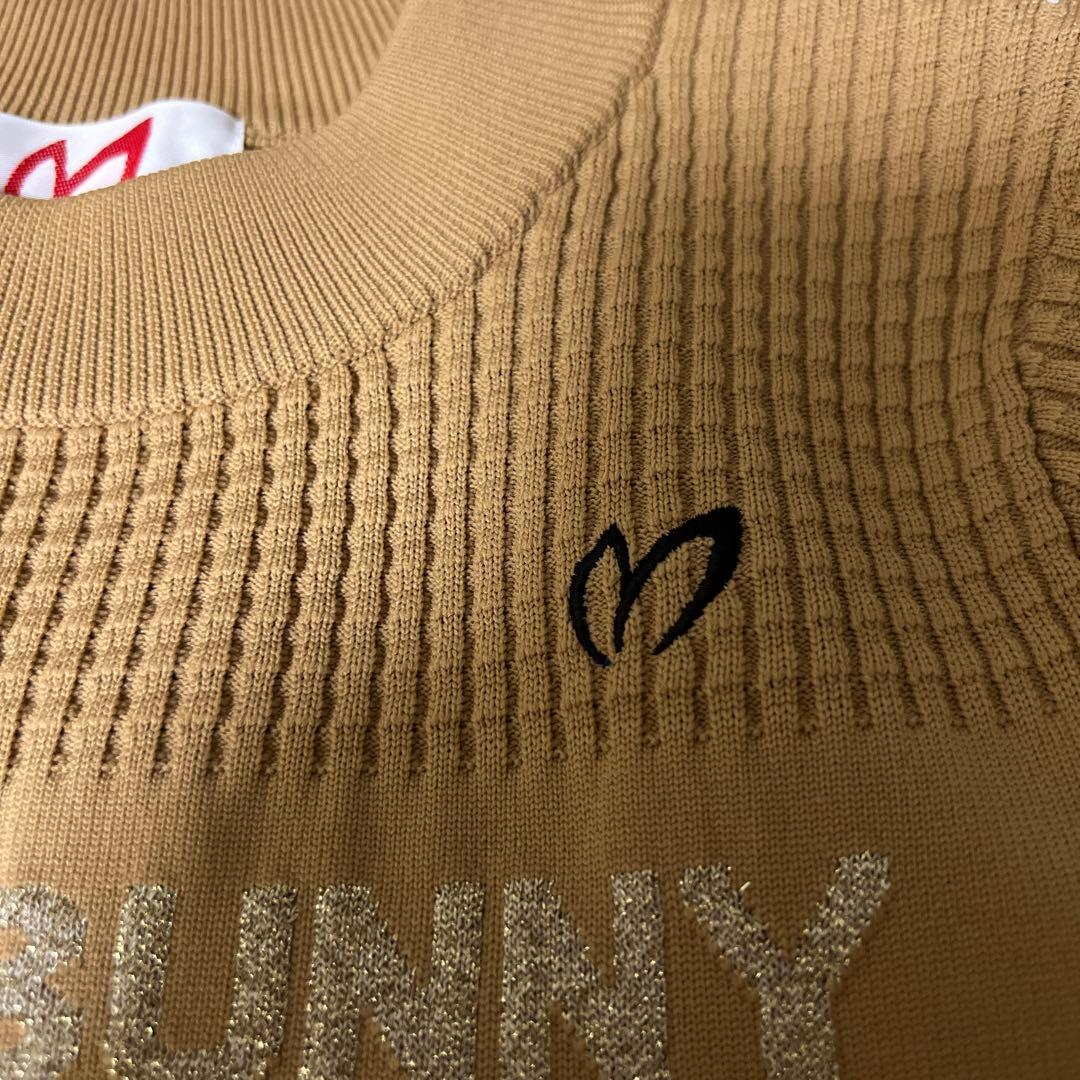 マスターバニーエディション