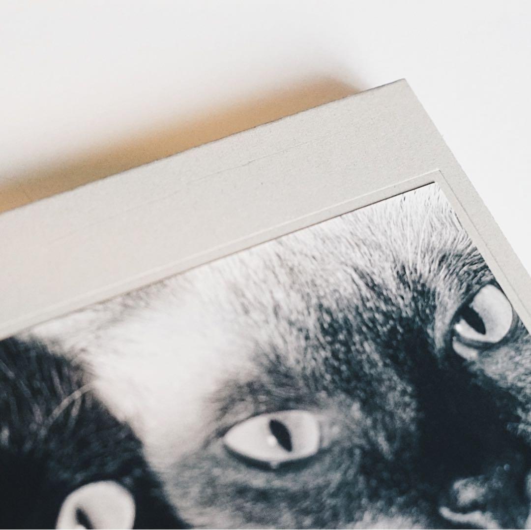 Wonderful Days（Special Edition）/ 深瀬昌久