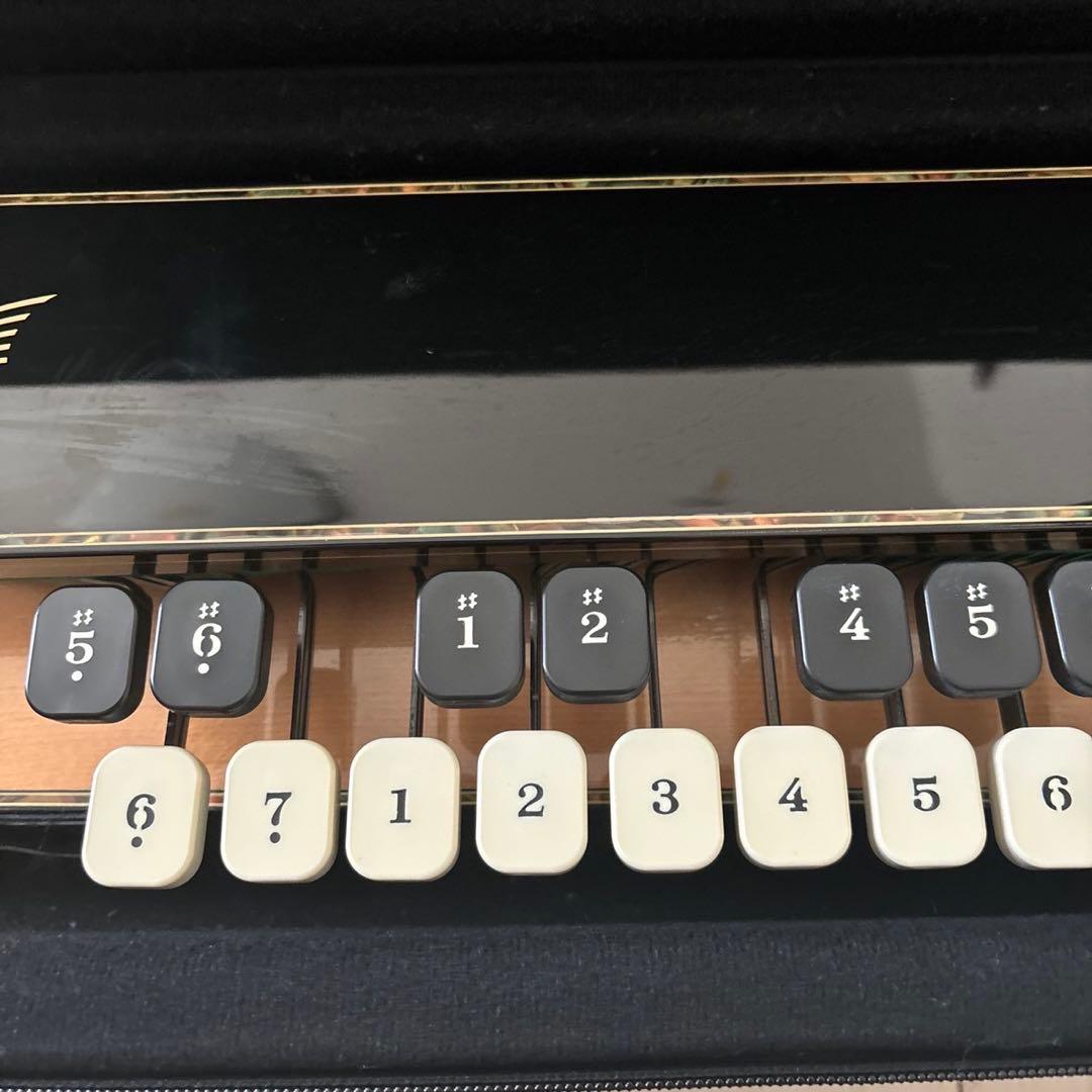 LYRISH ライリッシュ VEGA ベガ　ソプラノ　エレキ大正琴 OD113