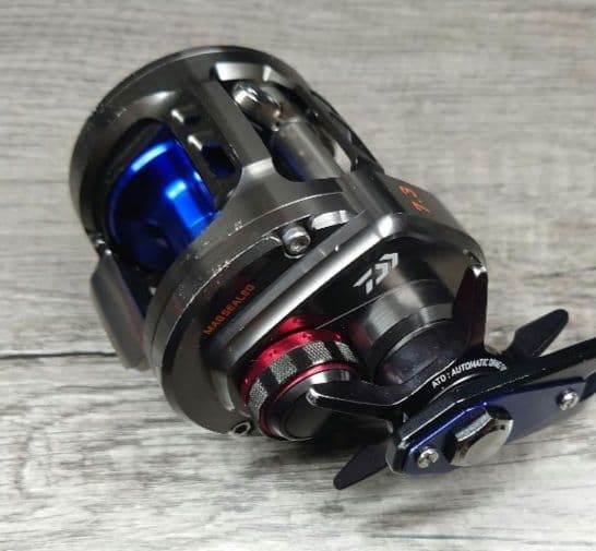 DAIWA ダイワ SALTIGA ソルティガ BJ200SH