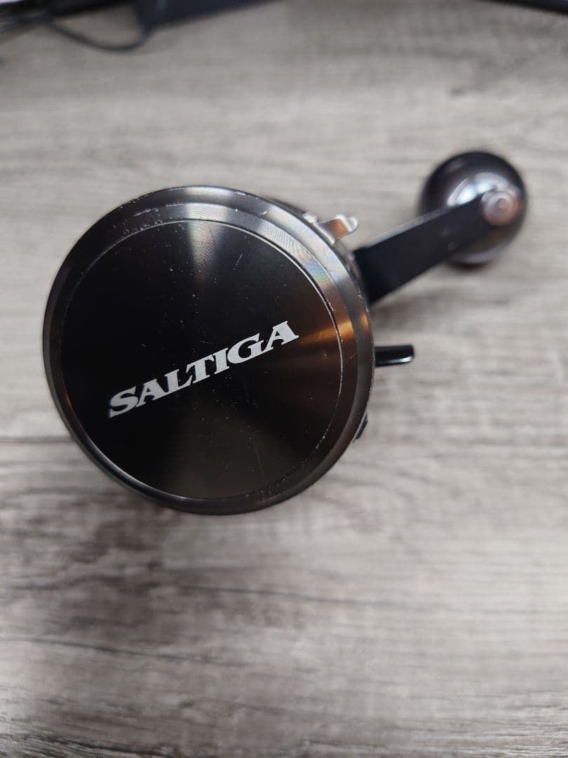 DAIWA ダイワ SALTIGA ソルティガ BJ200SH