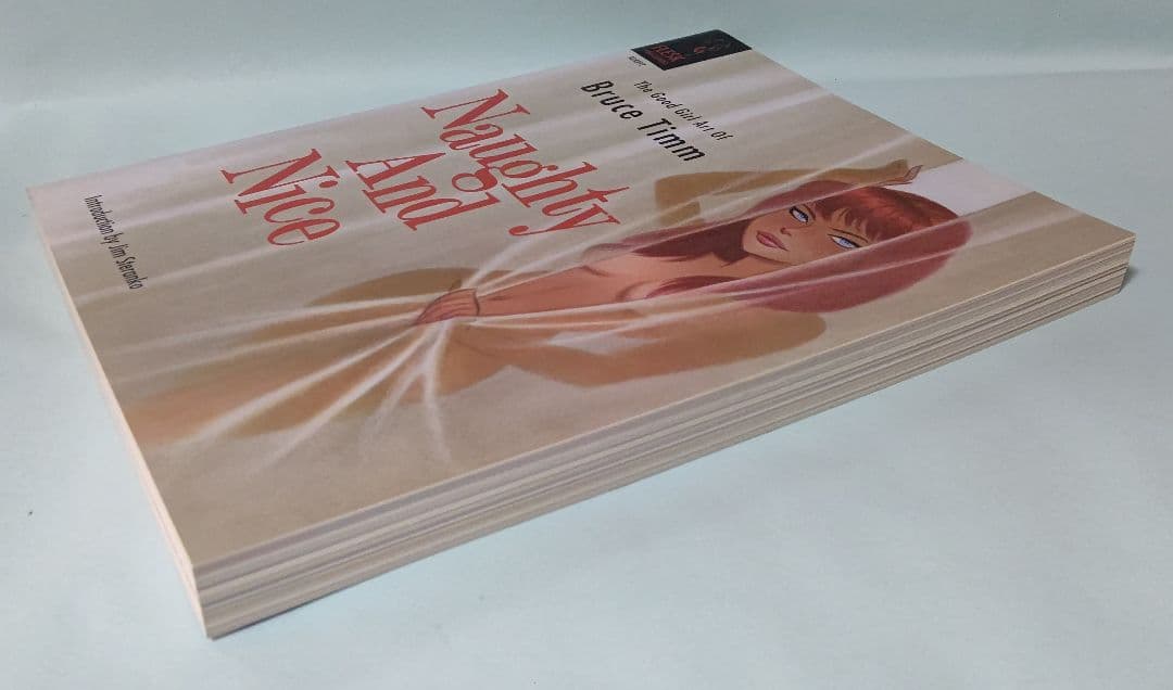 ブルース・ティム 画集 Naughty And Niece 初版本