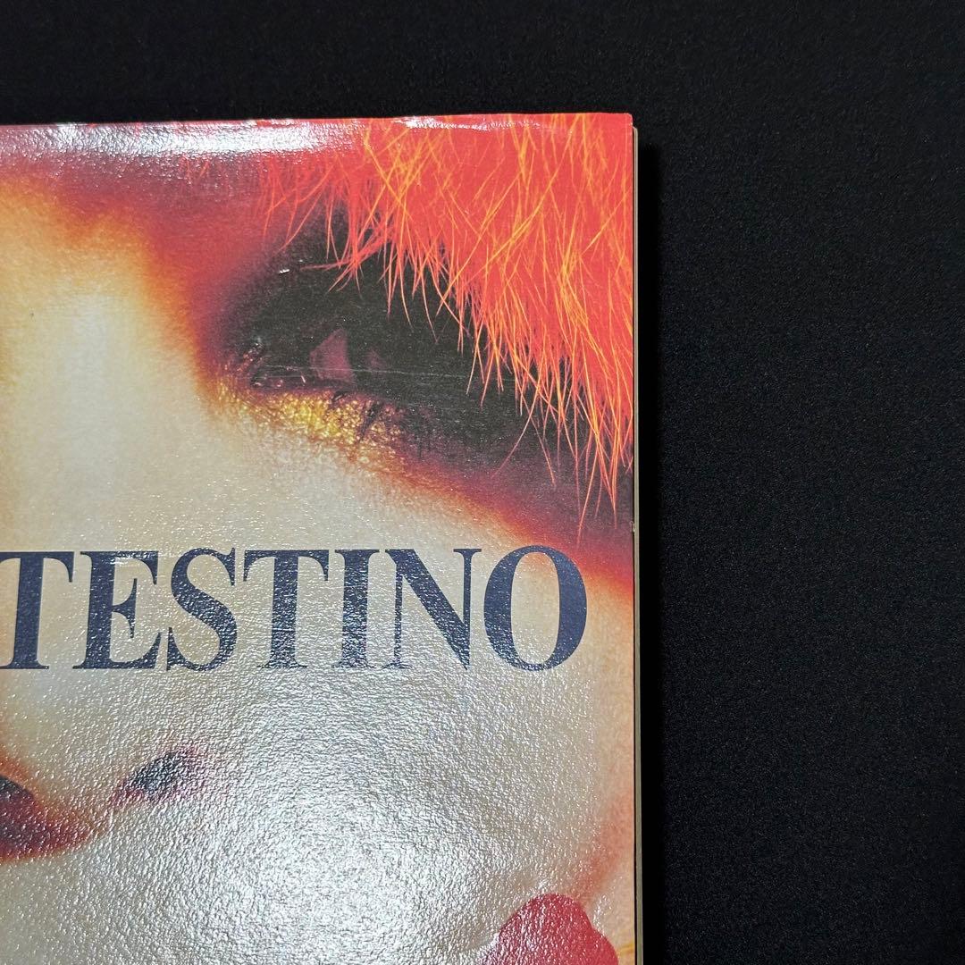 Taschen Mario Testino: In Your Face 洋書