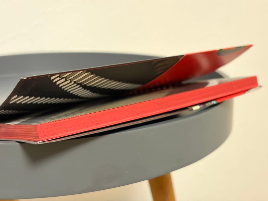 劇団イヌカレー初単行本 ポメロメコ