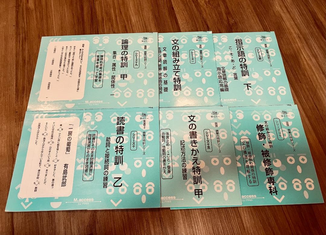 【未記入】サイパー 思考力算数練習帳シリーズ 国語 読解の特訓シリーズ 20冊