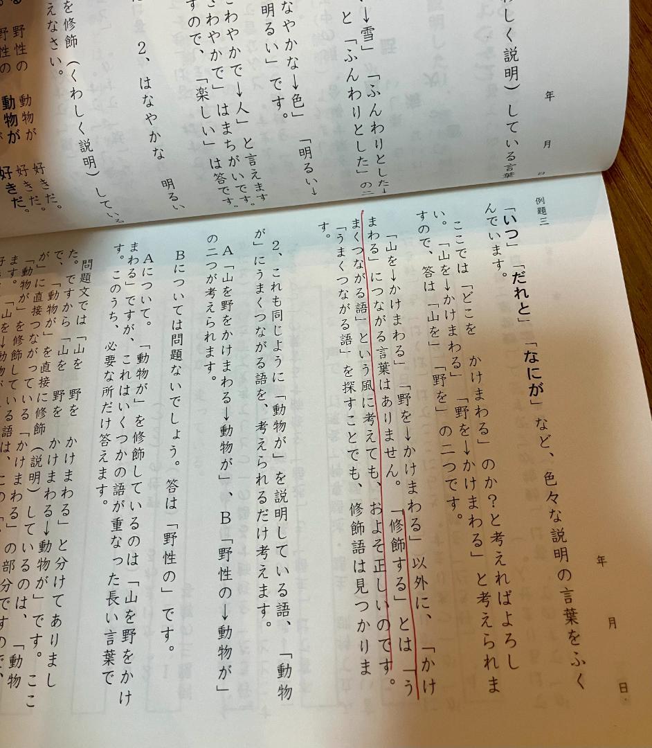【未記入】サイパー 思考力算数練習帳シリーズ 国語 読解の特訓シリーズ 20冊