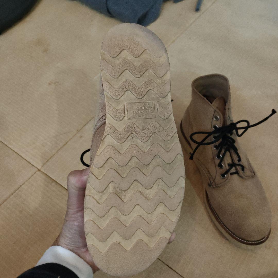 レッドウィングアイリッシュセッター