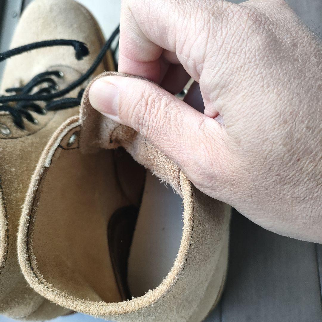 レッドウィングアイリッシュセッター