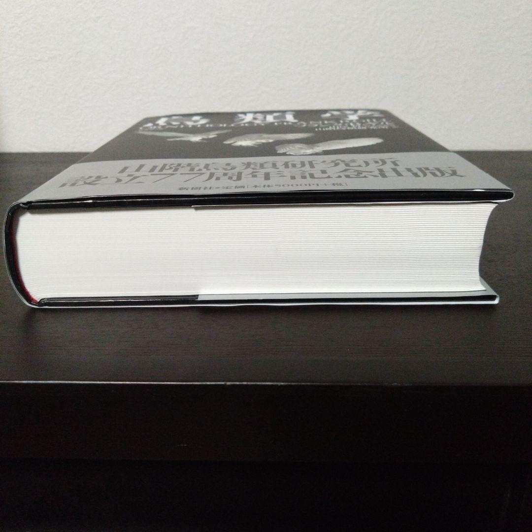 【プレミア 美品 帯付き】鳥類学 フランク・B・ギル