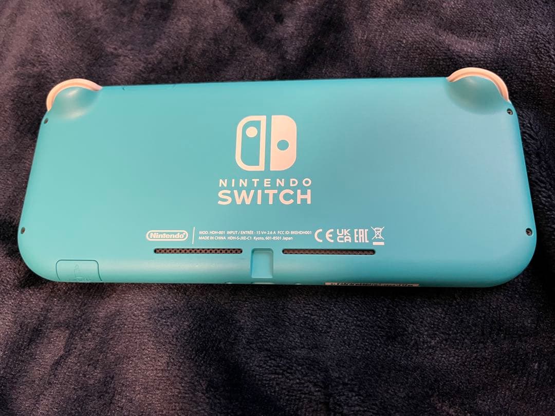 Nintendo Switch Lite ターコイズ 本体、ケース、カセット2本