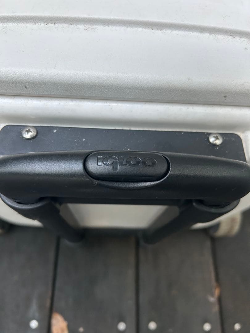 igloo ホワイト 白 クーラーボックス おしゃれ