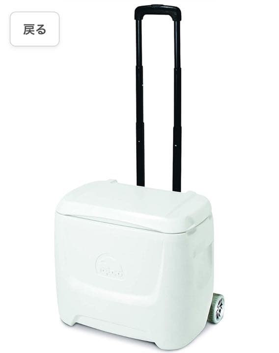igloo ホワイト 白 クーラーボックス おしゃれ