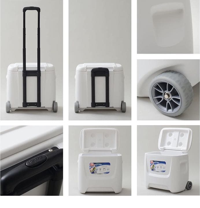 igloo ホワイト 白 クーラーボックス おしゃれ