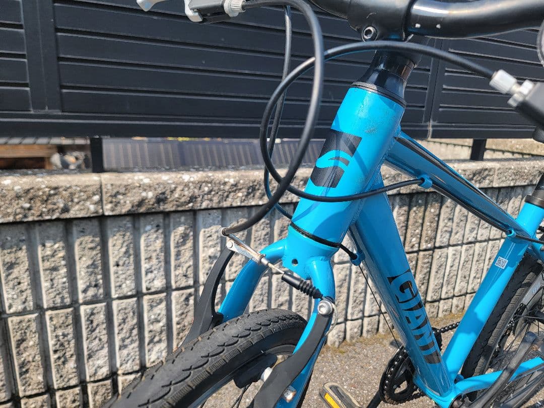 GIANT ESCAPE JR ジュニア用クロスバイク 24インチ