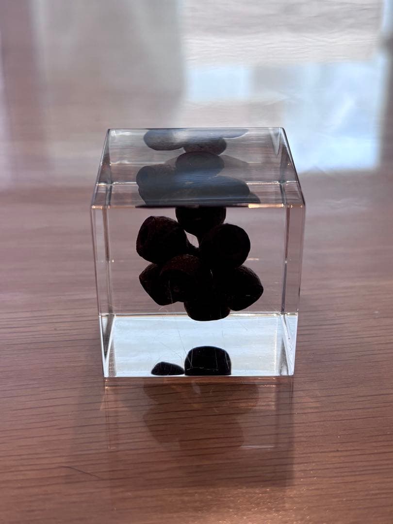 宙ソラsola cube 標本箱木箱セット ウサギノネドコセレクション9個