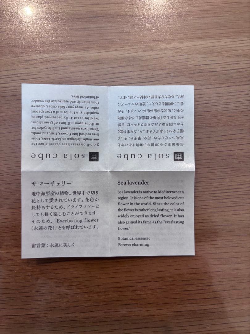 宙ソラsola cube 標本箱木箱セット ウサギノネドコセレクション9個