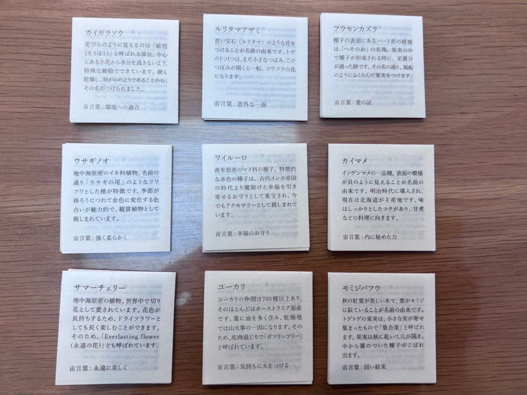 宙ソラsola cube 標本箱木箱セット ウサギノネドコセレクション9個