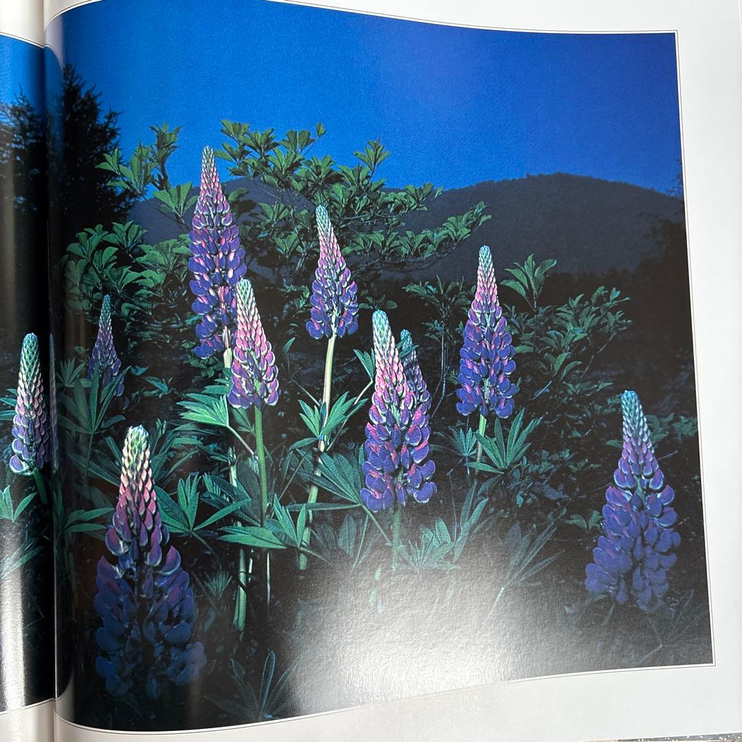 花狩　山村雅昭写真集