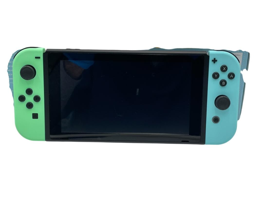 スイッチ あつまれどうぶつの森 セット プロコントローラー ケース付き