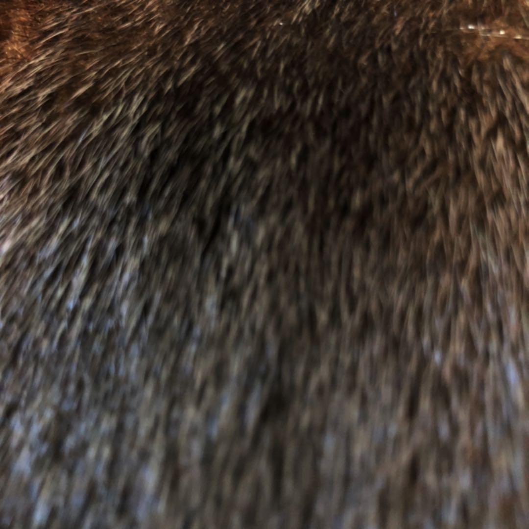 SAFURON 　毛皮　コート　ゴージャス　極美品ダークブラウン