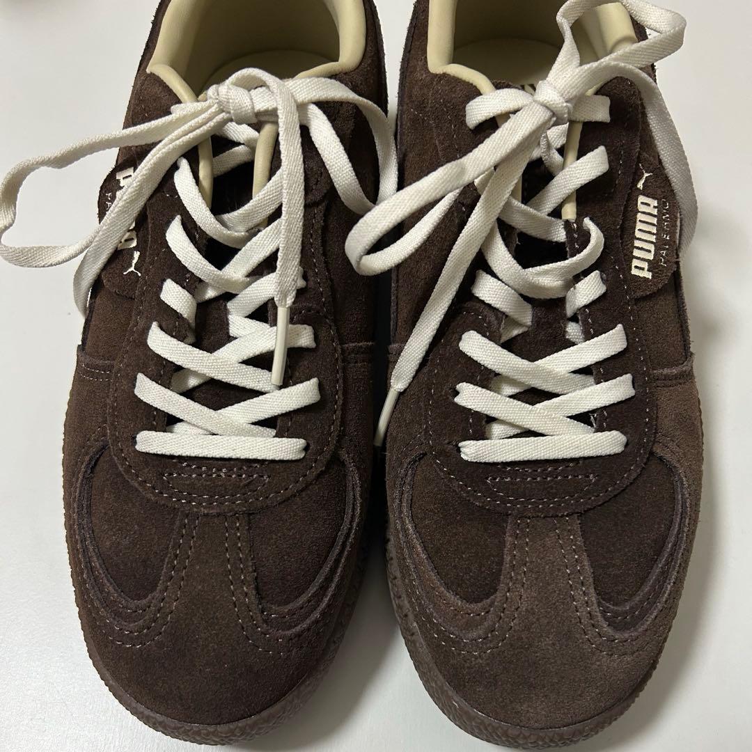 靴 AMERI X PUMA PALERMO / BRN 24.5