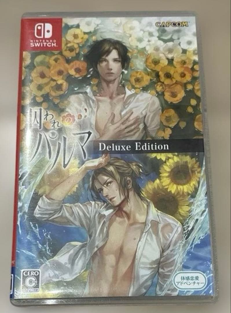 囚われのパルマ デラックス エディション Switch 動作確認済み