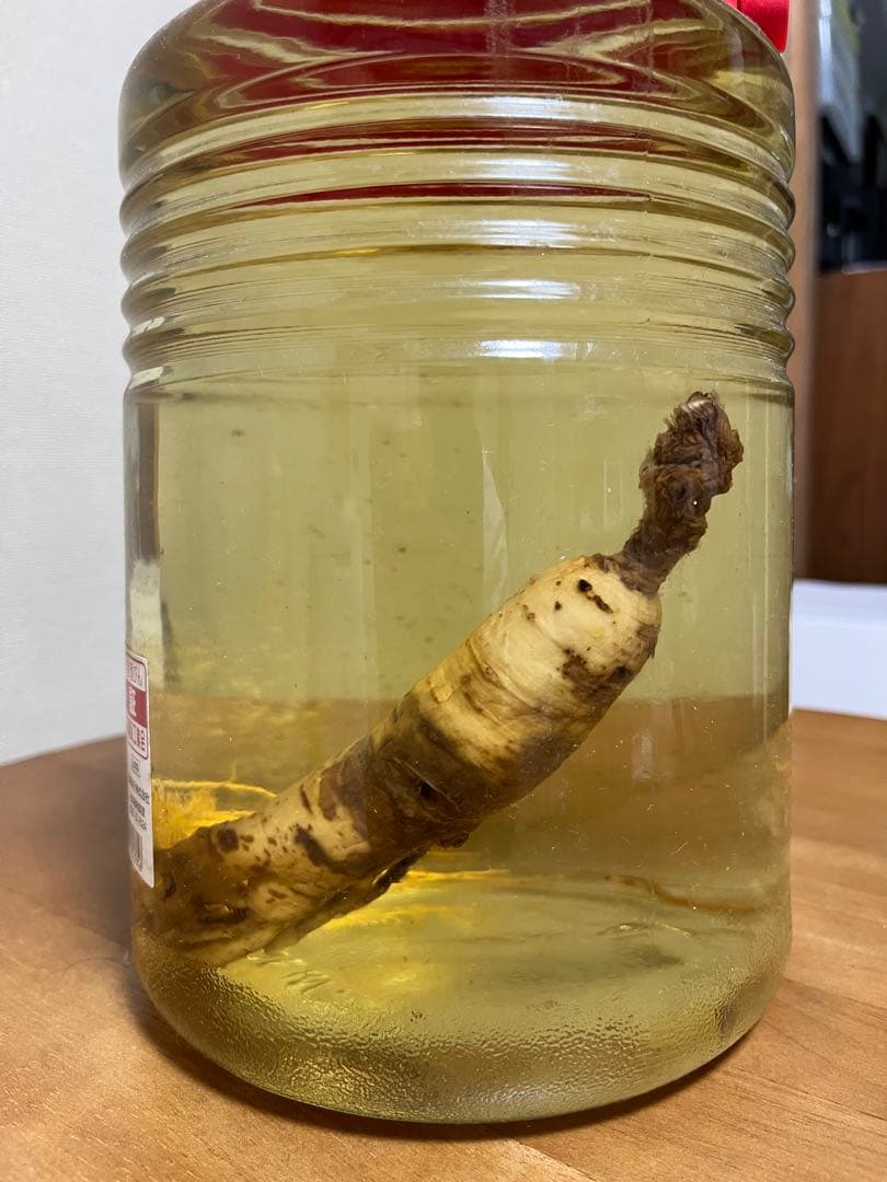 長期貯蔵高麗人参酒４Ｌ(瓶入り)