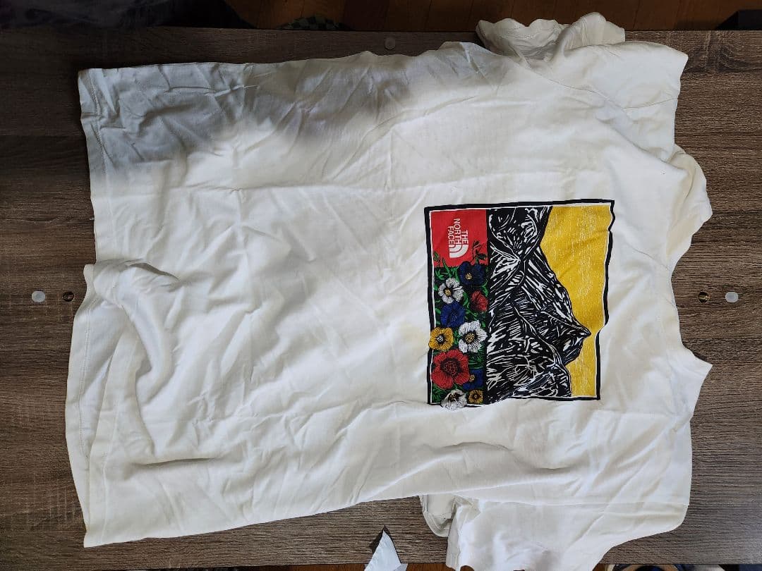 THE NORTH FACE Tシャツ 10枚セット