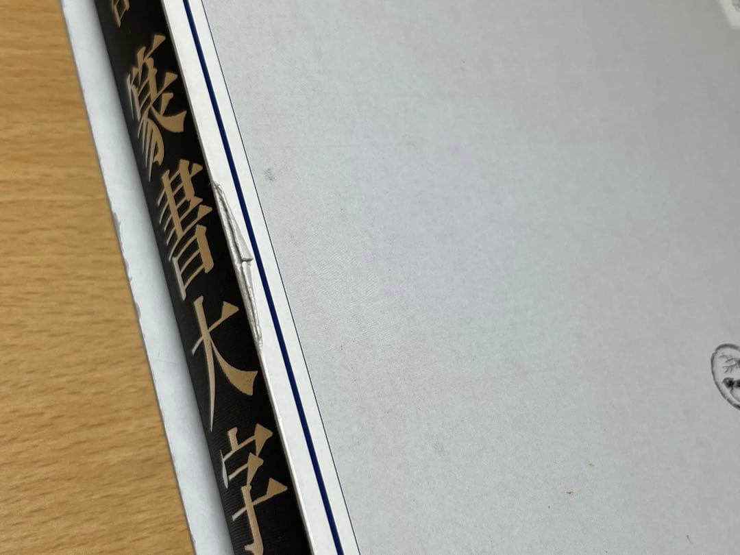 ⭐︎値下げしました 総合篆書大字典　絶版　二玄社