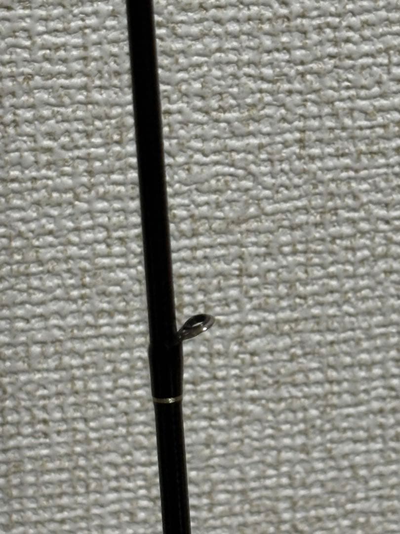 カリスタ82ml/TG NANO