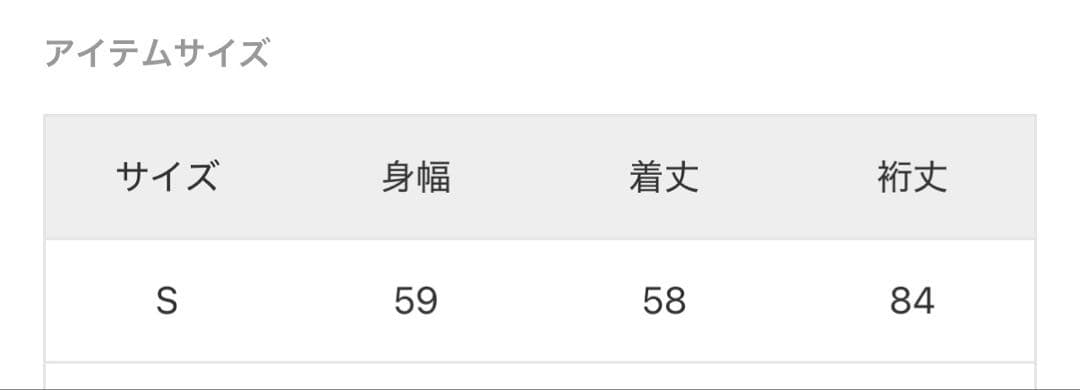 ジャーナルスタンダード champion スウェット