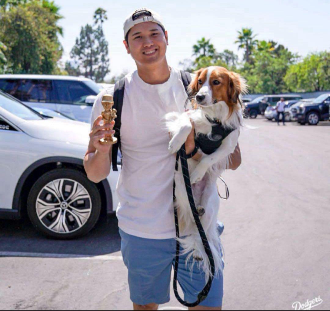 大谷翔平　デコピン　ゴールド　ボブルヘッド　ドジャース　来場者限定　新品