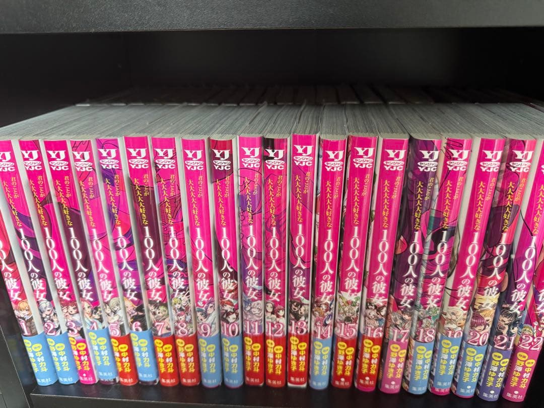 君のことが大大大大大好きな100人の彼女　全22巻セット