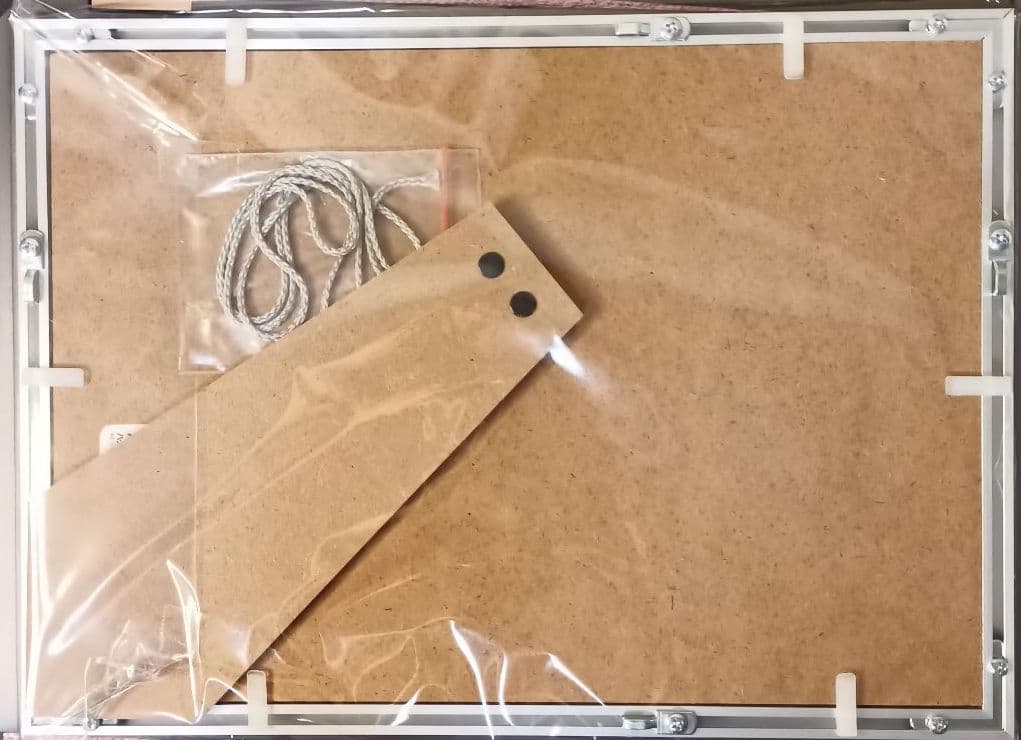 JRA VAN限定 エフフォーリア レーシングパネル