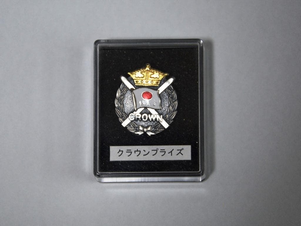 SAJ スキープライズテスト　クラウンプライズ　合格バッジ