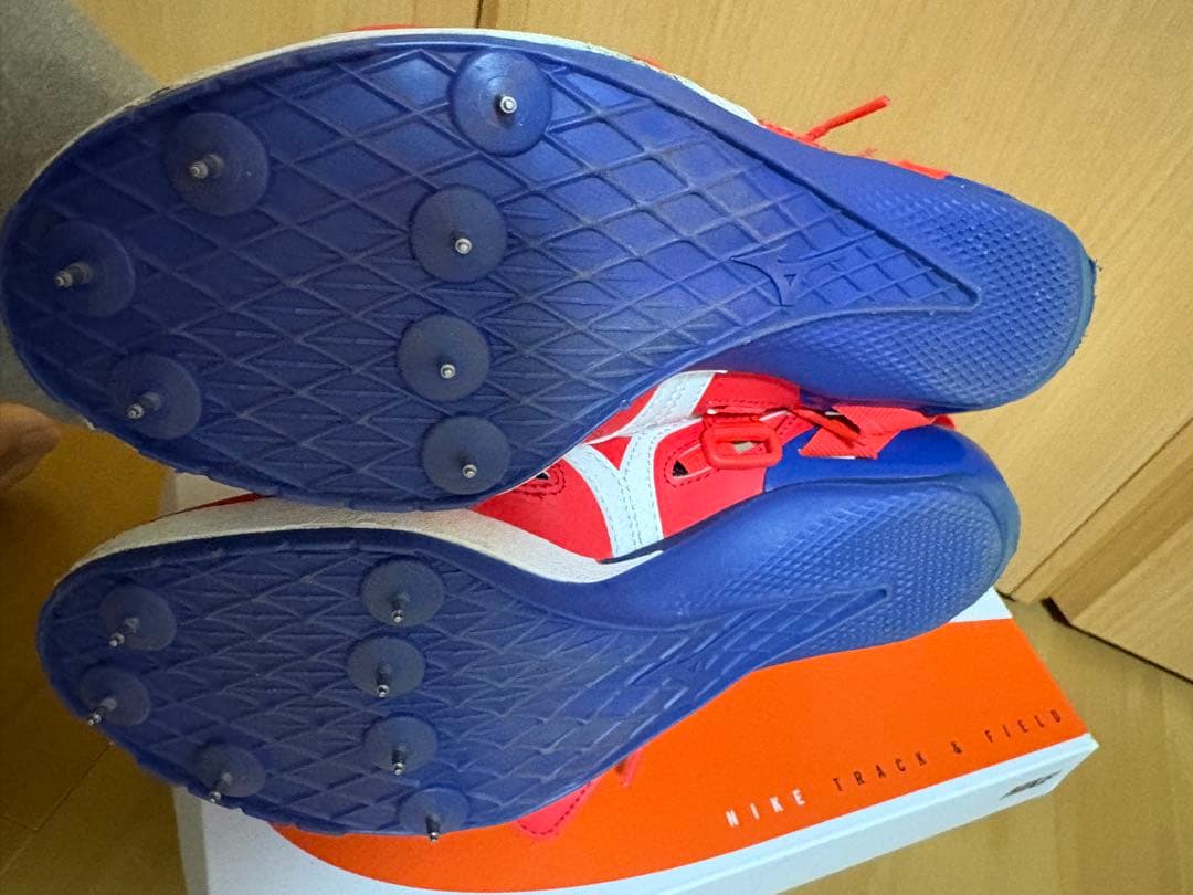 クロノインクスネオ　25センチ