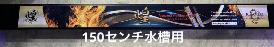 [minila/ASK] 煌LED水中LEDライト　150センチ