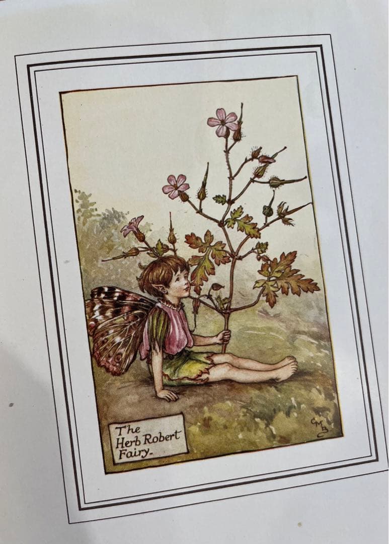 No.97 希少 貴重 古書 洋書 絵本 アンティーク ビンテージ 花の妖精