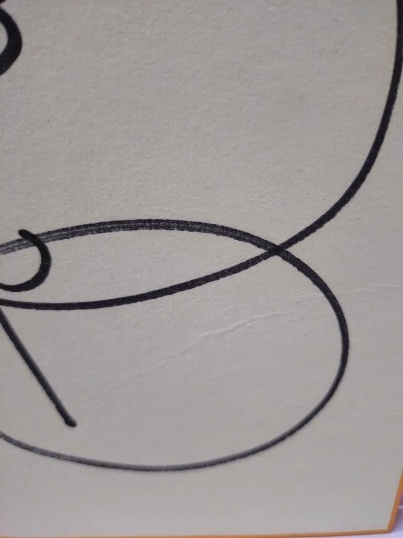 変身忍者嵐 南城竜也 直筆サイン色紙 & 東映特撮ヒーロー THE MOVIE