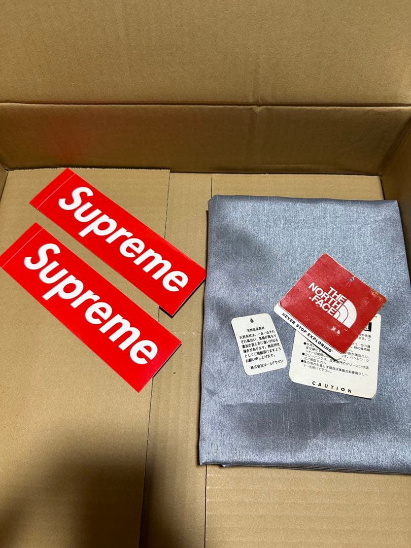 レアSUPREME×THE NORTH FACE Leather DayPack