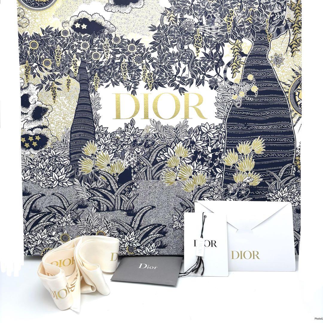 クリスチャンディオール ブックトート ミディアム キャンバス トートバッグ