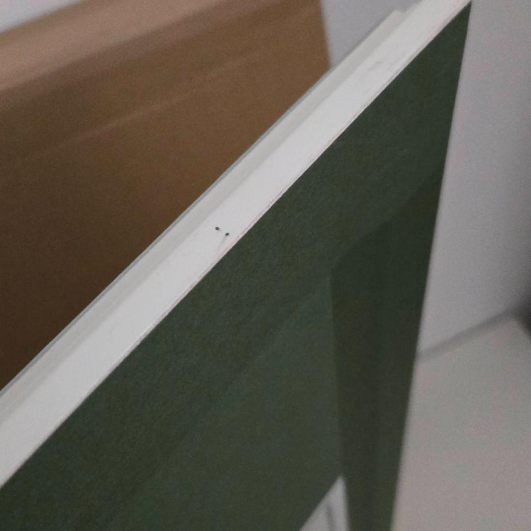 藤城清治　光る森　直筆サイン　ダイヤモンドスクリーン　保証