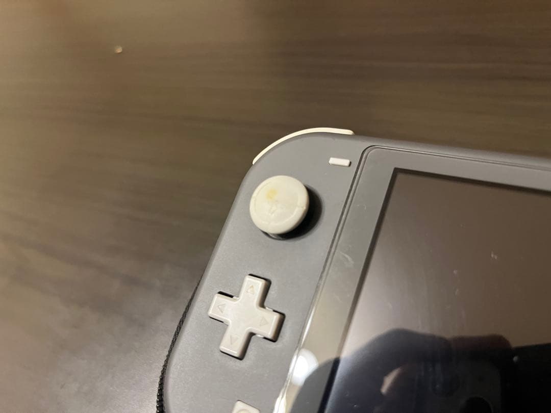 Nintendo Switch Lite グレー 充電器　オマケ付き